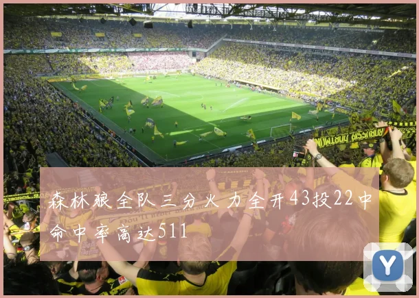 森林狼全队三分火力全开43投22中命中率高达511
