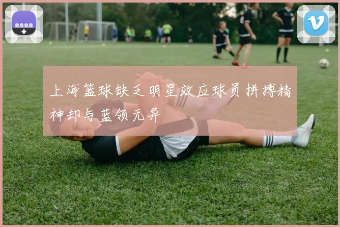 上海篮球缺乏明星效应球员拼搏精神却与蓝领无异